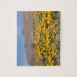 El Paso Poppies Legpuzzel