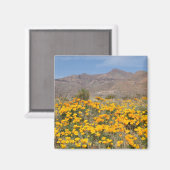 El Paso Poppies Magneet (Voorkant / Achterkant)