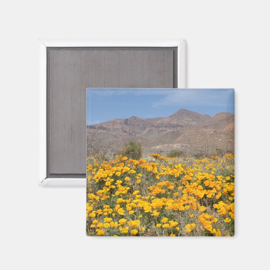 El Paso Poppies Magneet (Voorkant / Achterkant)