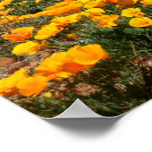 El Paso Poppies Poster (Hoek)