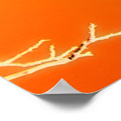 El Paso Poster (Hoek)