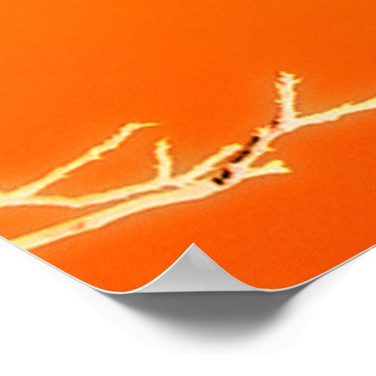 El Paso Poster (Hoek)