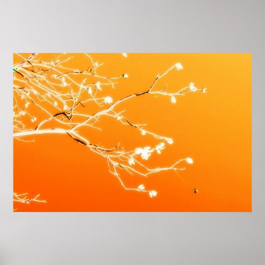 El Paso Poster (Voorkant)