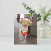 El Perro Briefkaart (Staand voorkant)