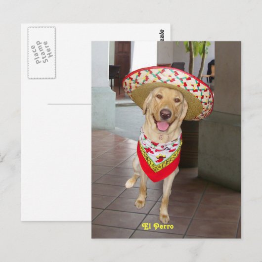 El Perro Briefkaart (Voorkant / Achterkant)