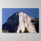 El Pet Poster (Voorkant)