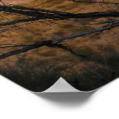 El Pico Moonrise - Big Bend, Texas Poster (Hoek)