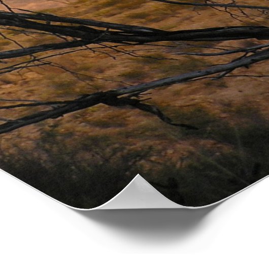 El Pico Moonrise - Big Bend, Texas Poster (Hoek)