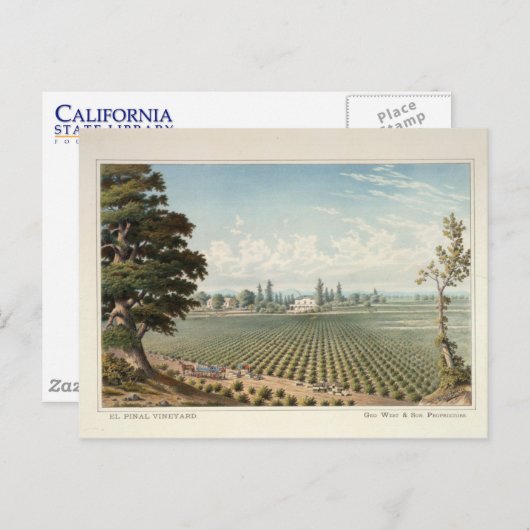 El Pinal Vineyard, San Joaquin County Briefkaart (Voorkant / Achterkant)