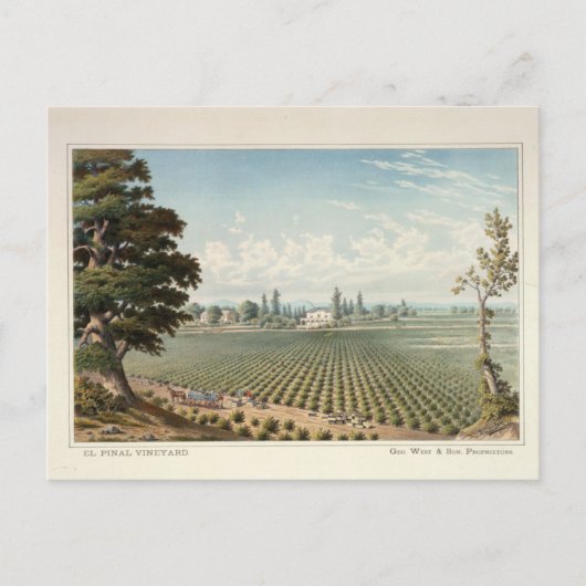 El Pinal Vineyard, San Joaquin County Briefkaart (Voorkant)