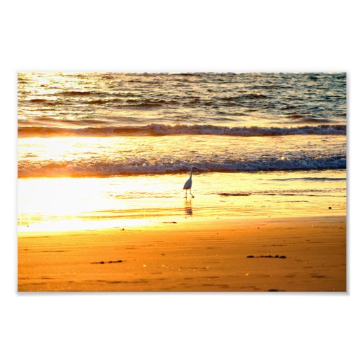 El Porto Manhattan Beach Foto Afdruk (Voorkant)