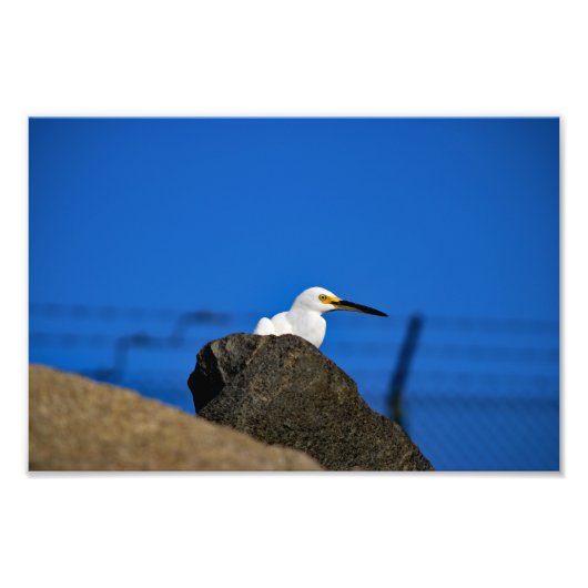 El Porto Manhattan Beach Foto Afdruk (Voorkant)