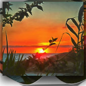 El Rio Pitillal 2009 Art Print