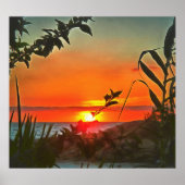 El Rio Pitillal 2009 Art Print (Voorkant)