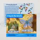 El Segundo Blue Butterfly is met uitsterven bedrei Feestdagenkaart (Voorkant / Achterkant)