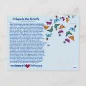 El Segundo Blue Butterfly is met uitsterven bedrei Feestdagenkaart (Achterkant)