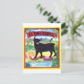 El Torro Negro Briefkaart (Staand voorkant)