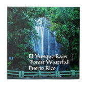 El Yunieke regenwoud Tegeltje (Voorkant)