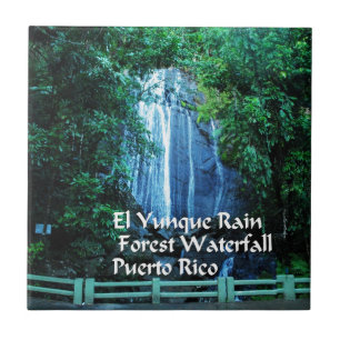 El Yunieke regenwoud Tegeltje