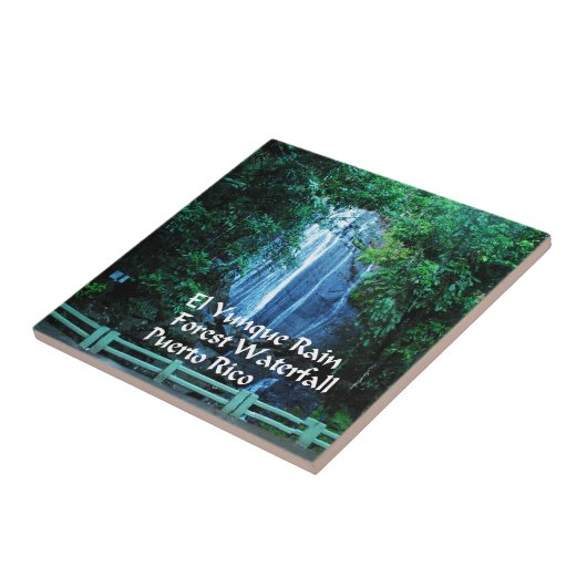 El Yunieke regenwoud Tegeltje (Zijkant)