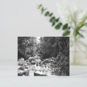 El Yunque National Rainforest Briefkaart (Staand voorkant)