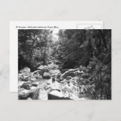 El Yunque National Rainforest Briefkaart (Voorkant / Achterkant)