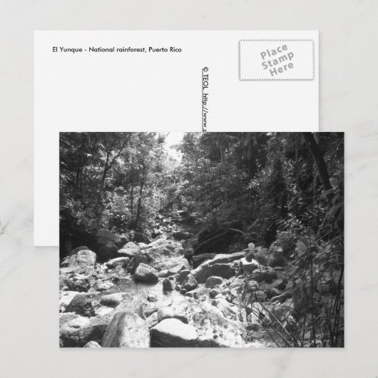 El Yunque National Rainforest Briefkaart (Voorkant / Achterkant)