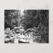 El Yunque National Rainforest Briefkaart (Voorkant)