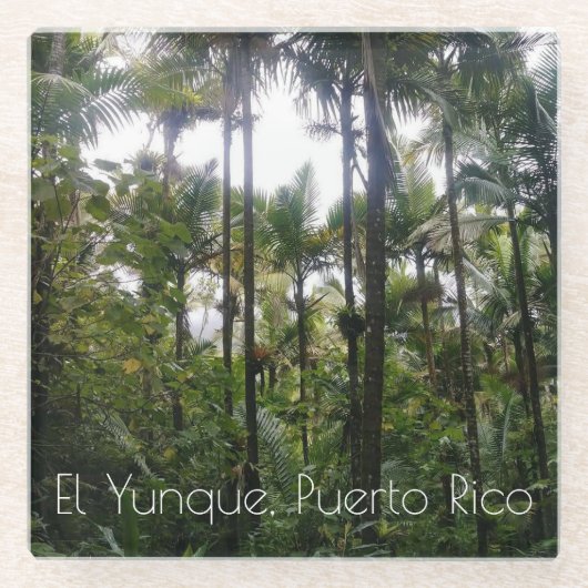 El Yunque, onderzetter Puerto Rico (Voorkant)