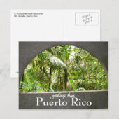El Yunque, Puerto Rico Briefkaart (Voorkant / Achterkant)