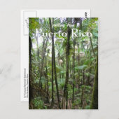 El Yunque, Puerto Rico Briefkaart (Voorkant / Achterkant)