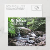 El Yunque, Puerto Rico Briefkaart (Voorkant / Achterkant)