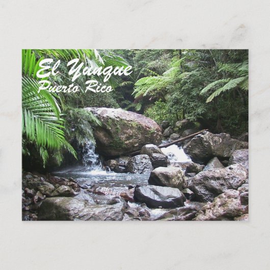 El Yunque, Puerto Rico Briefkaart (Voorkant)