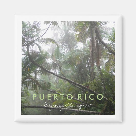 El Yunque, Puerto Rico Magneet (Voorkant)