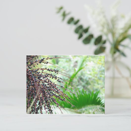 El Yunque Rain Forest Briefkaart (Staand voorkant)