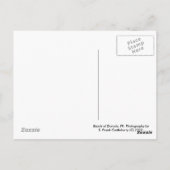 El Yunque Rain Forest Briefkaart (Achterkant)