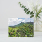 El-yunque regenwoud en communicatietoren briefkaart (Staand voorkant)