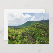 El-yunque regenwoud en communicatietoren briefkaart (Voorkant / Achterkant)