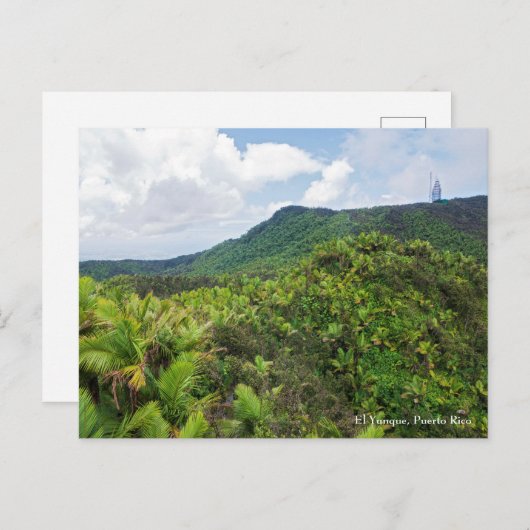 El-yunque regenwoud en communicatietoren briefkaart (Voorkant / Achterkant)