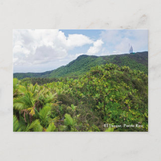 El-yunque regenwoud en communicatietoren briefkaart