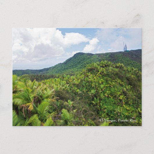 El-yunque regenwoud en communicatietoren briefkaart (Voorkant)