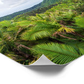 El-yunque regenwoud en communicatietoren poster (Hoek)