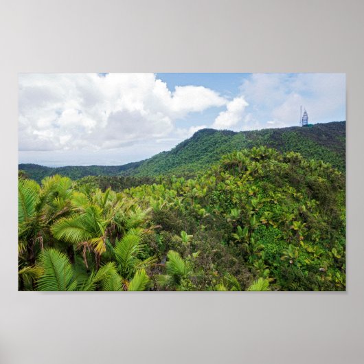 El-yunque regenwoud en communicatietoren poster (Voorkant)
