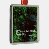 El Yunque-regenwoud Metalen Ornament (Rechts)