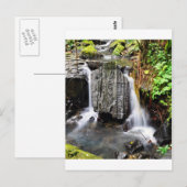 El Yunque Waterfall Briefkaart (Voorkant / Achterkant)