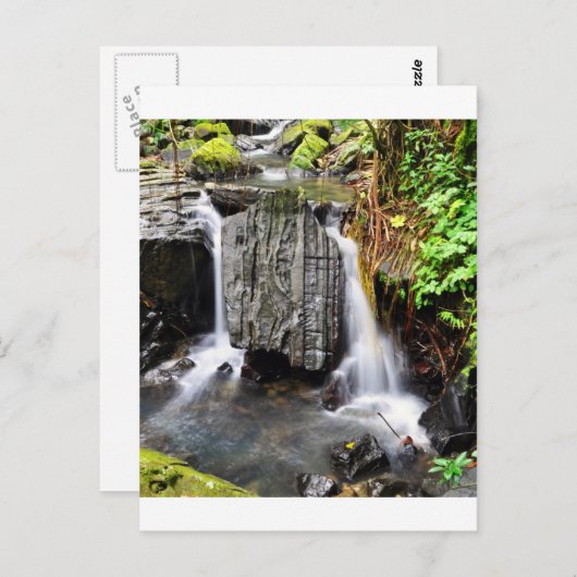 El Yunque Waterfall Briefkaart (Voorkant / Achterkant)