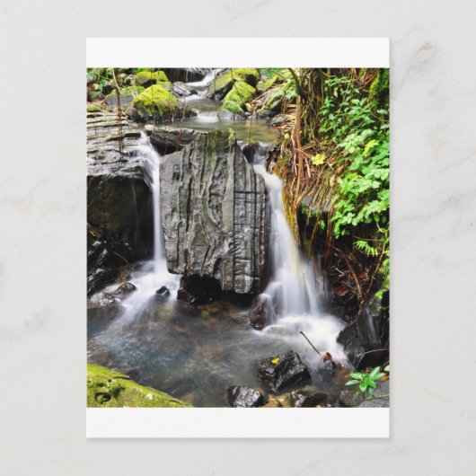 El Yunque Waterfall Briefkaart (Voorkant)