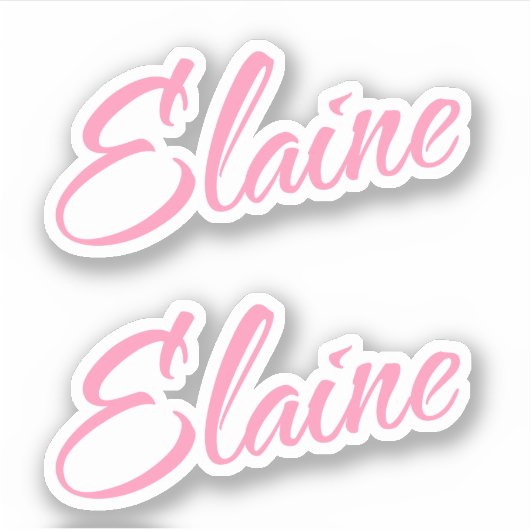 Elaine Naam in Roze x2 Sticker (Voorkant)