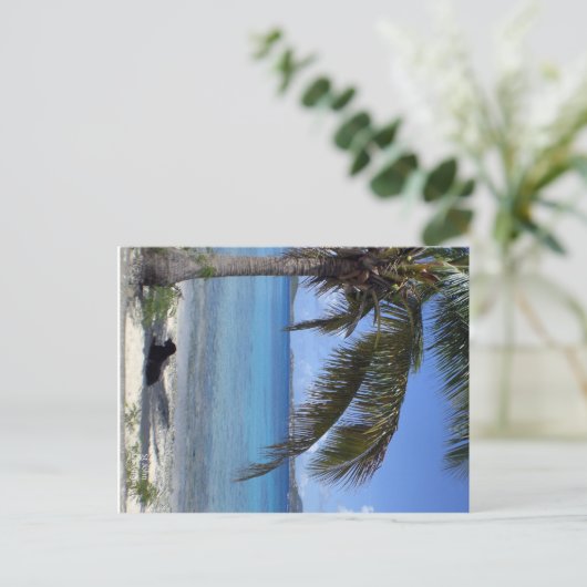 Elaine's hond in St. John, USVI Briefkaart (Staand voorkant)