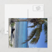 Elaine's hond in St. John, USVI Briefkaart (Voorkant / Achterkant)